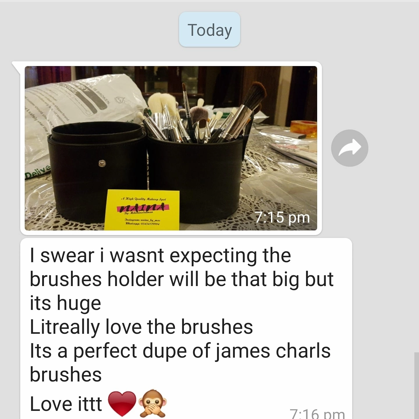 Pro Series Makeup Brush Set