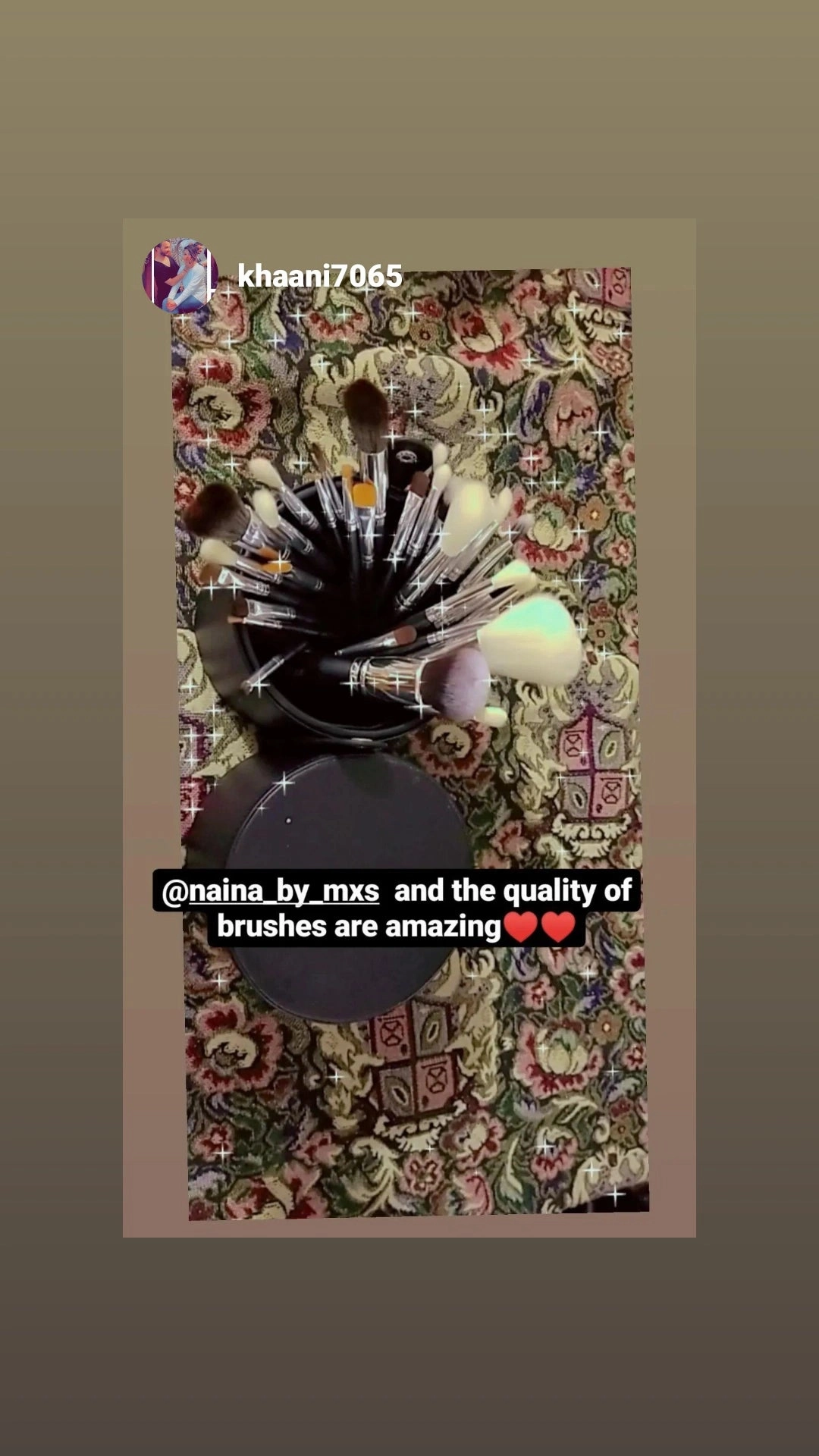 Pro Series Makeup Brush Set